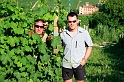 Piemont 2009  386